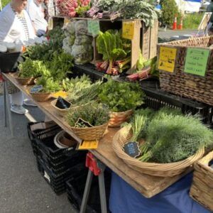 Harrisonburg Farmers Market in Harrisonburg VA