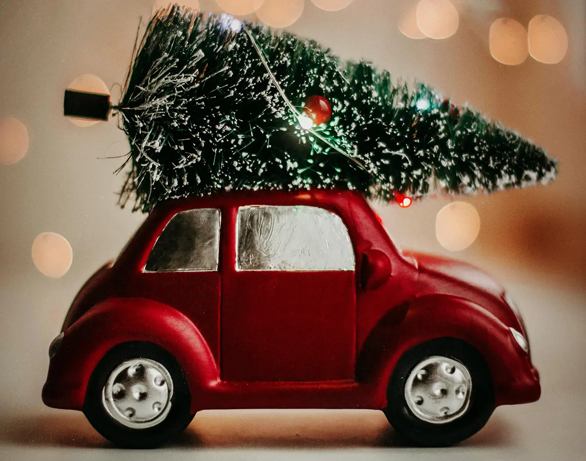 Christmas in Harrisonburg, Virginia