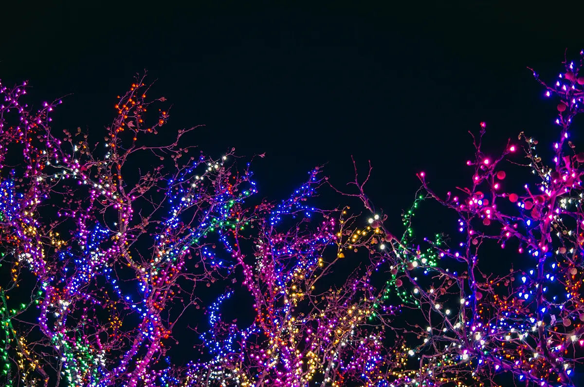 Christmas in Harrisonburg, Virginia