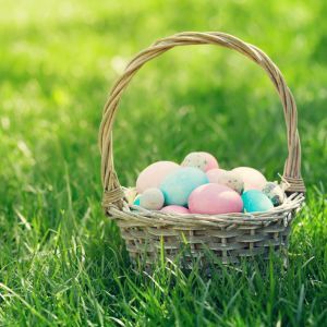 Egg Hunt in Harrisonburg VA